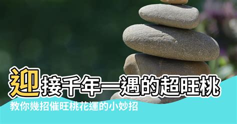 招桃花風水|2023解鎖桃花運！迎接千年一遇的超旺桃花年，教你。